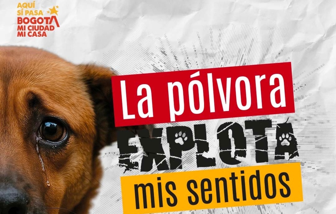 Bogotá lanza estrategia para que todos nos unamos en pro de la protección y el bienestar animal esta navidad